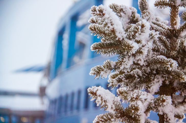 Погода в Беларуси на 27 ноября 2019 года