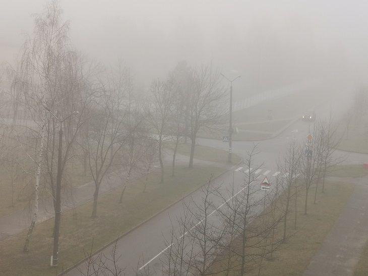 Погода по Беларуси на день 20 декабря 2019 года