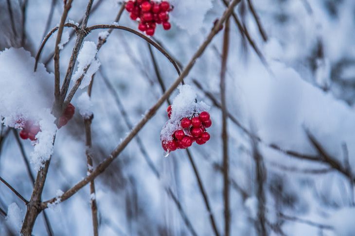 30 января в Беларуси