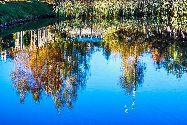 В Минске утонул мужчина в водоеме в Тучинском сквере