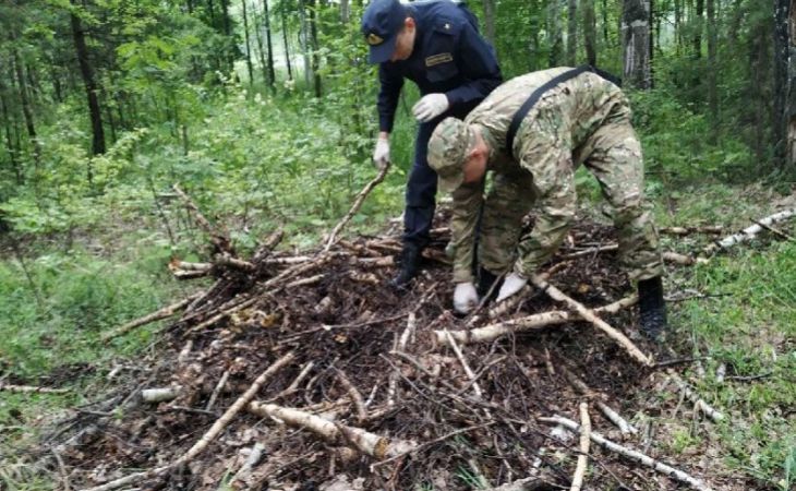 СК раскрыл убийство 69-летней предпринимательницы: задержан её водитель