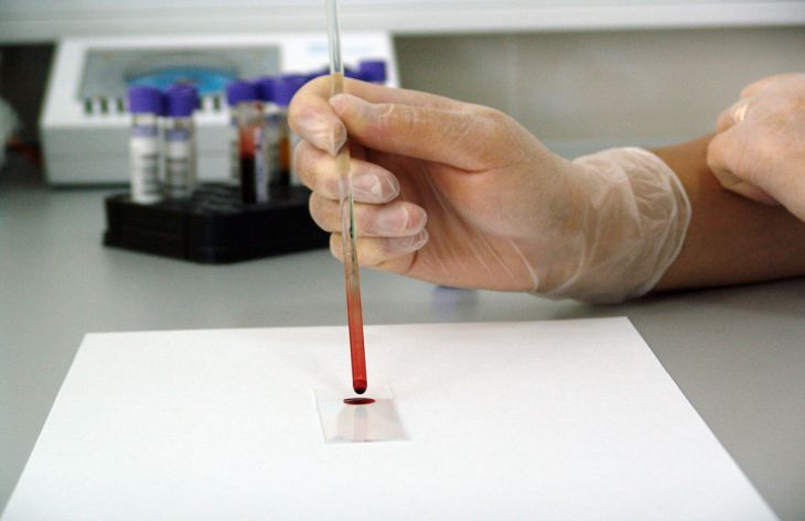 Тест: узнайте, как группа крови влияет на ваш характер и жизненный путь
