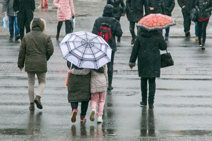 Дожди, туман и до +15°С. Погода в Беларуси на выходные