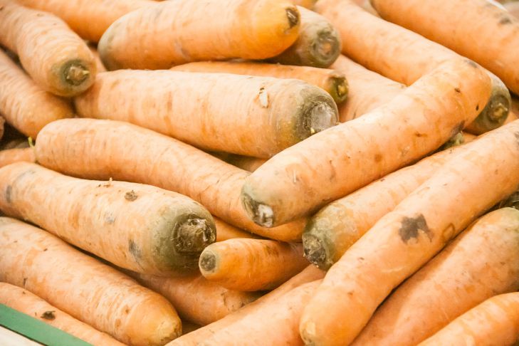 Почему морковь вырастает зеленой: какие ошибки допускают огородники