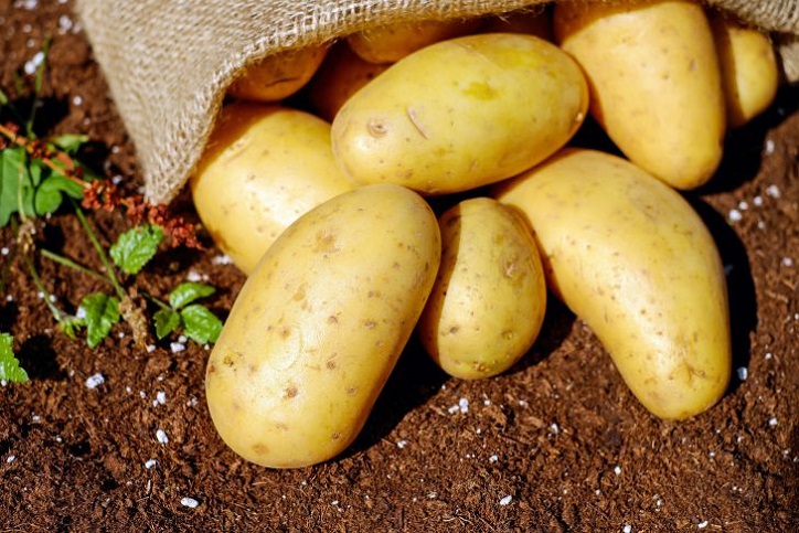Ответы витамин-п-байкальский.рф: как подмороженную картошку сделать нормальной, чтобы она не сластила?