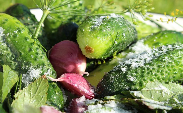 Маринованные огурцы стали жуткой кислятиной: как вернуть им прежний вкус