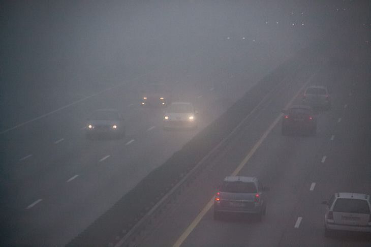 Желтый уровень опасности объявлен в Беларуси на 4 ноября из-за тумана