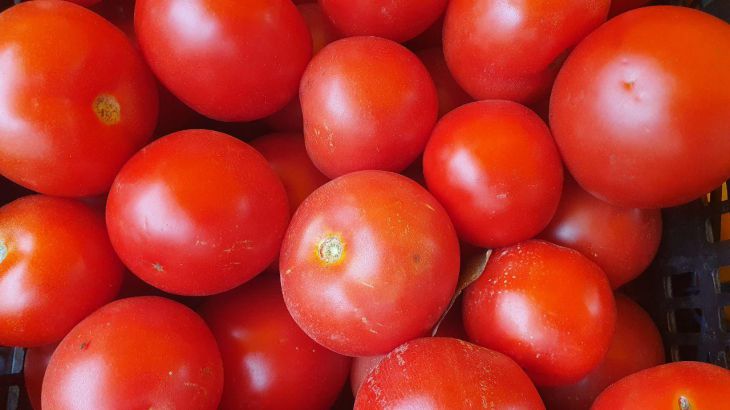 Почему нельзя хранить помидоры в холодильнике - главная причина