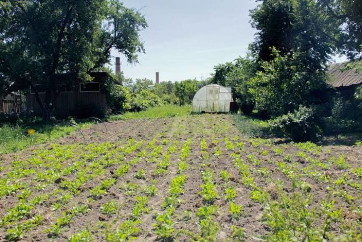 Что делать с грядками в конце сезона, чтобы в следующем году сорвать урожайный куш