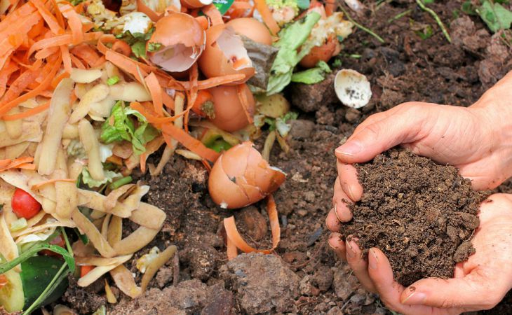 Как лучше использовать ботву, сорняки и падалицу: закапывать в грядки или бросать в компост