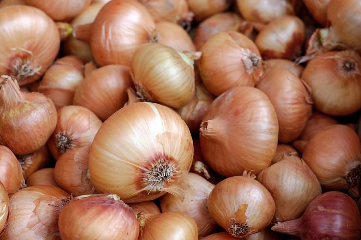 onion 