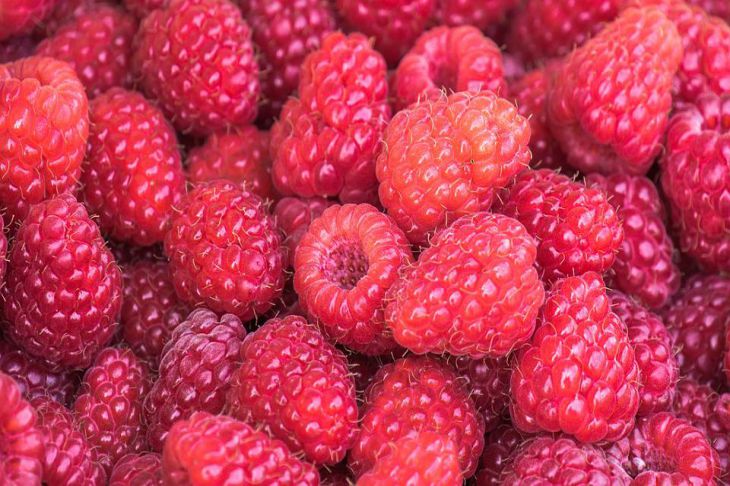 raspberries 