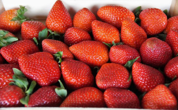 Чем подкормить клубнику в апреле и мае, чтобы обеспечить себя ягодой на всё лето