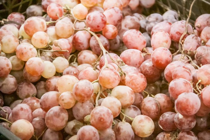 Почему сохнет виноград: частые ошибки садоводов
