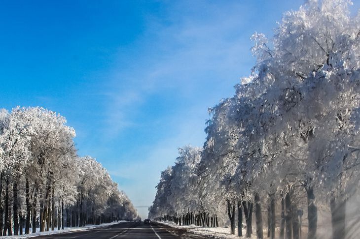 Установится морозная погода? Дмитрий Рябов дал прогноз на начало декабря