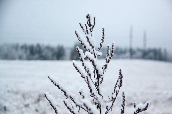 Поле, снег