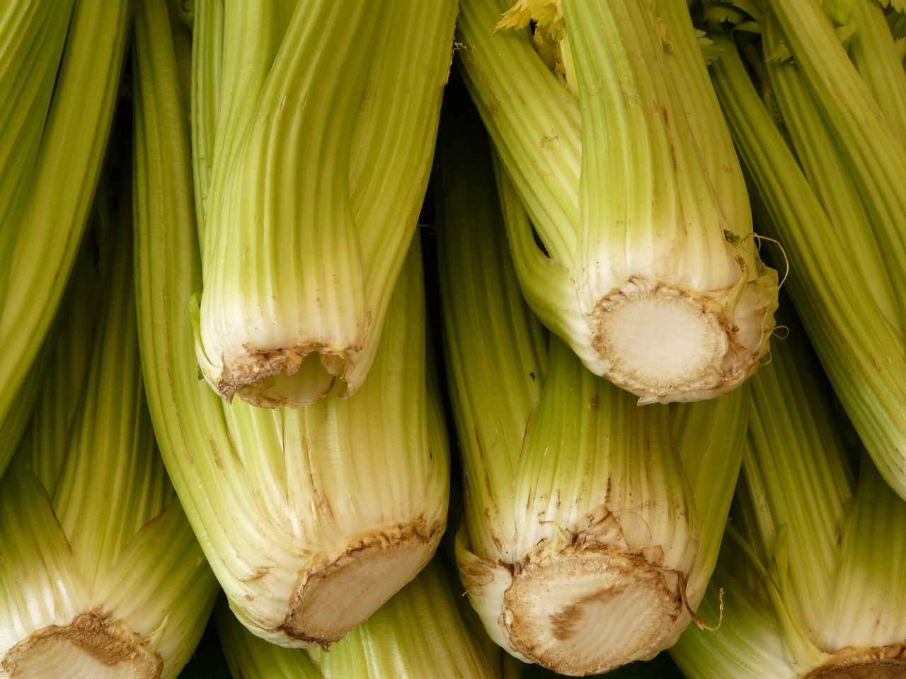 celery