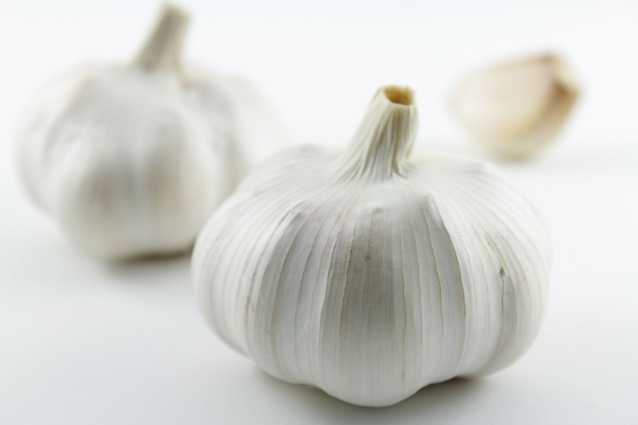 garlic