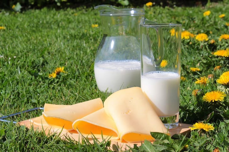 Молоко или подделка: 5 способов проверить молоко на натуральность в домашних условиях