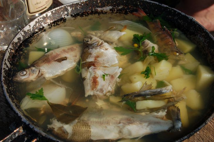 Как сварить вкусный рыбный бульон: главные хитрости — получится прозрачным и ароматным