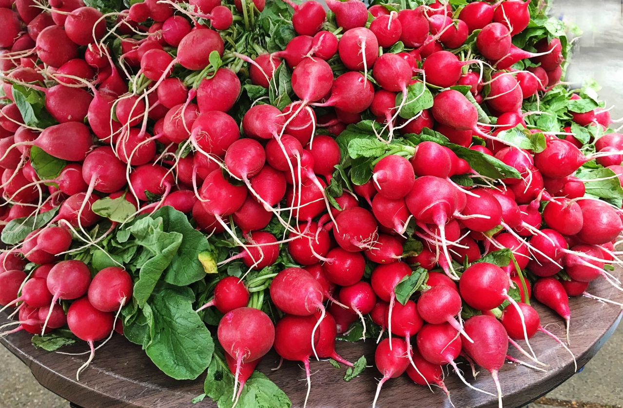 radishes