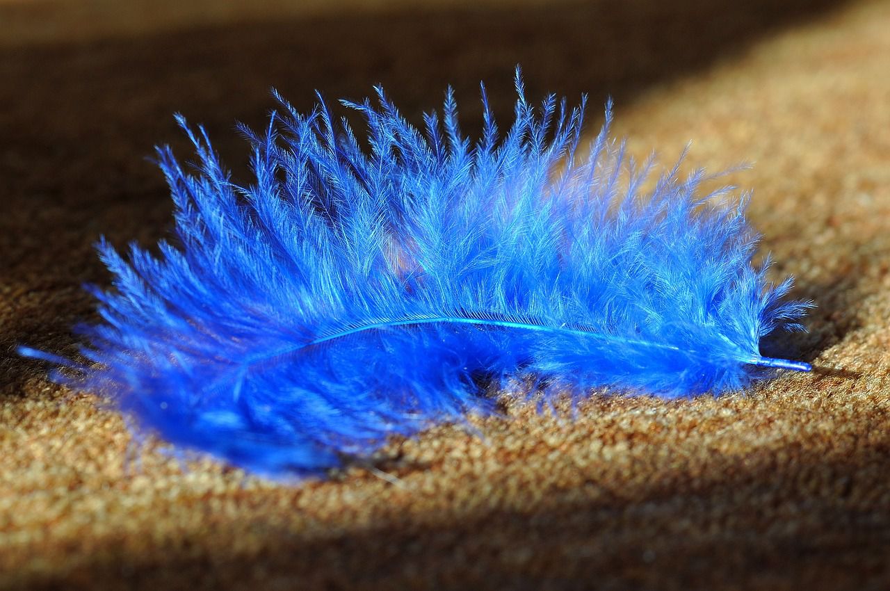 feather