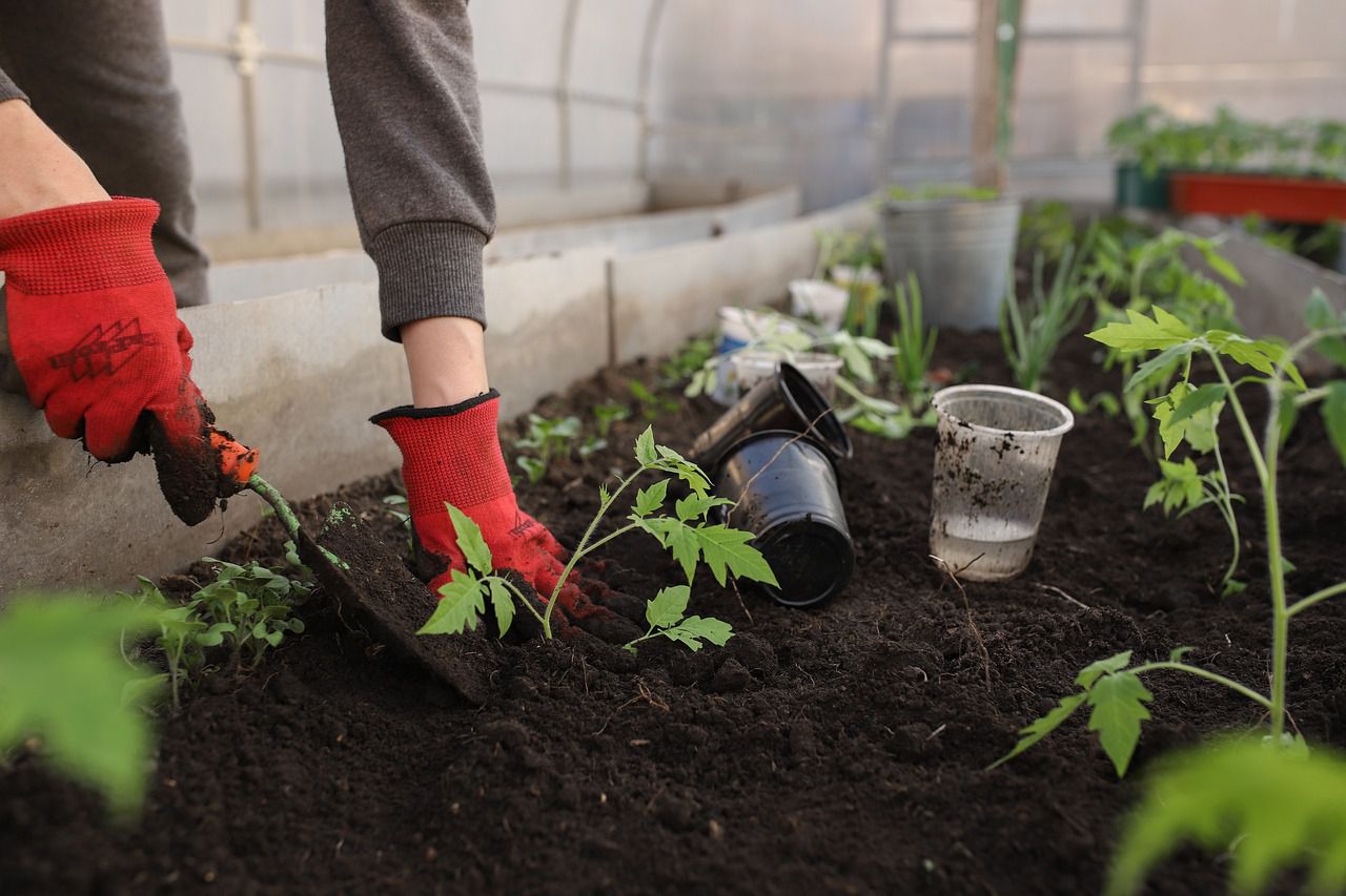 garden beds