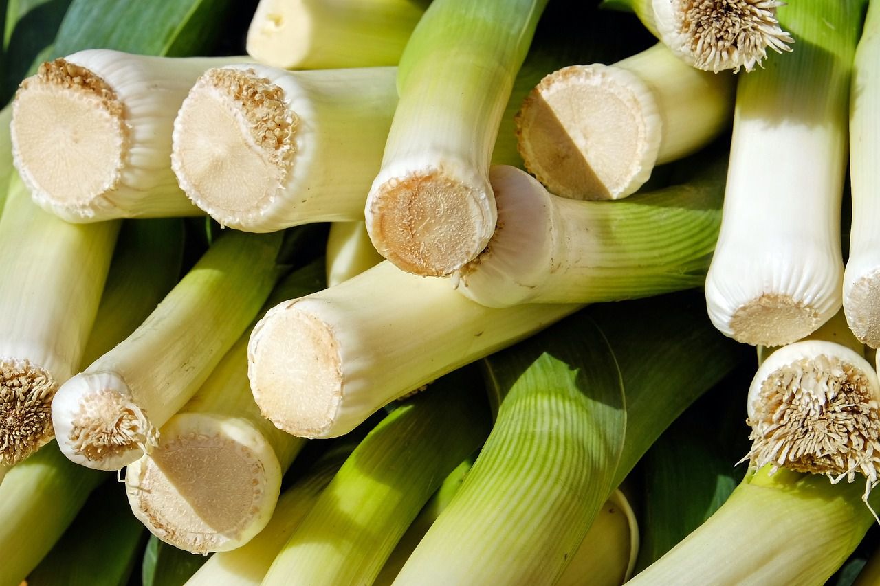 leek