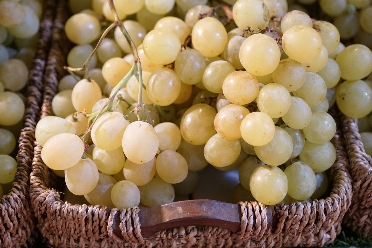 grapes