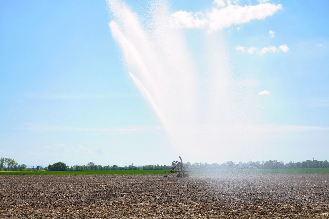 watering