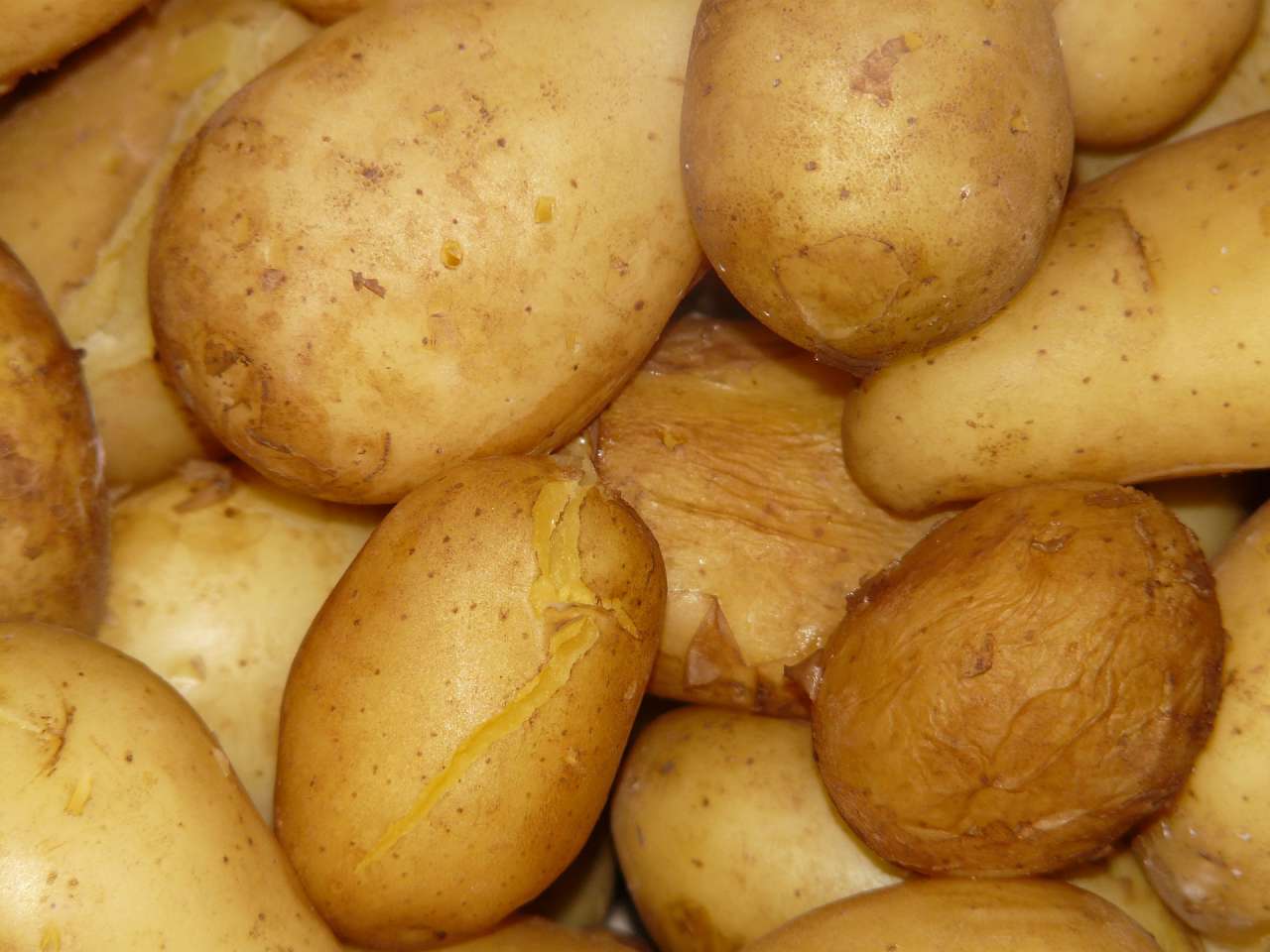 potatoes