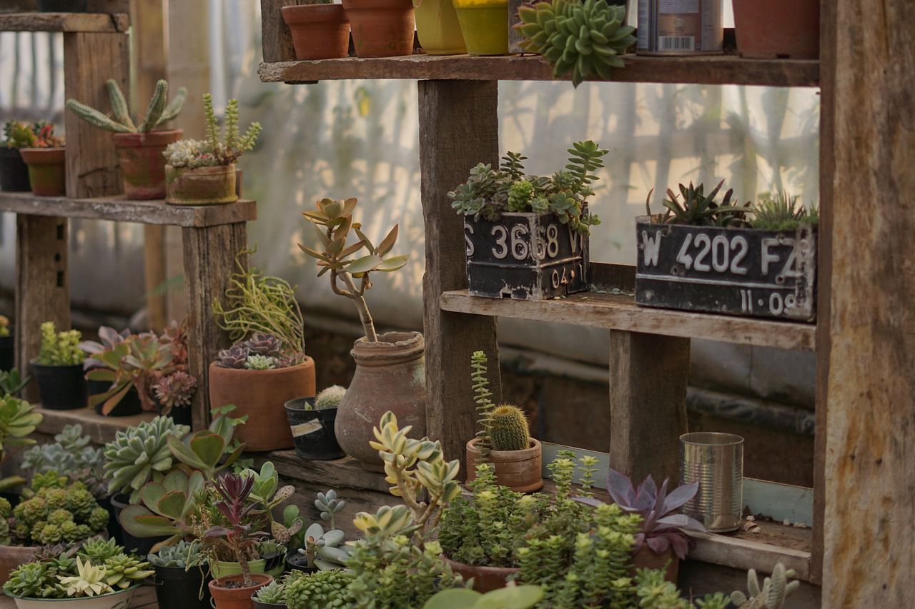 plant shop