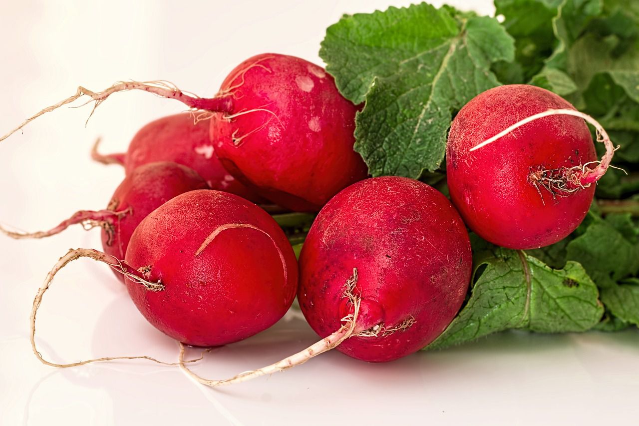 radishes