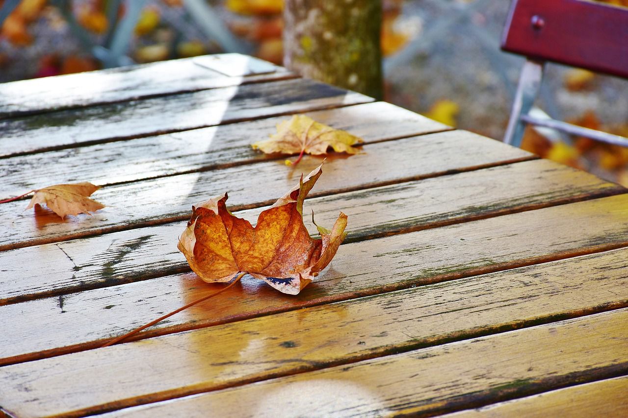 fall garden