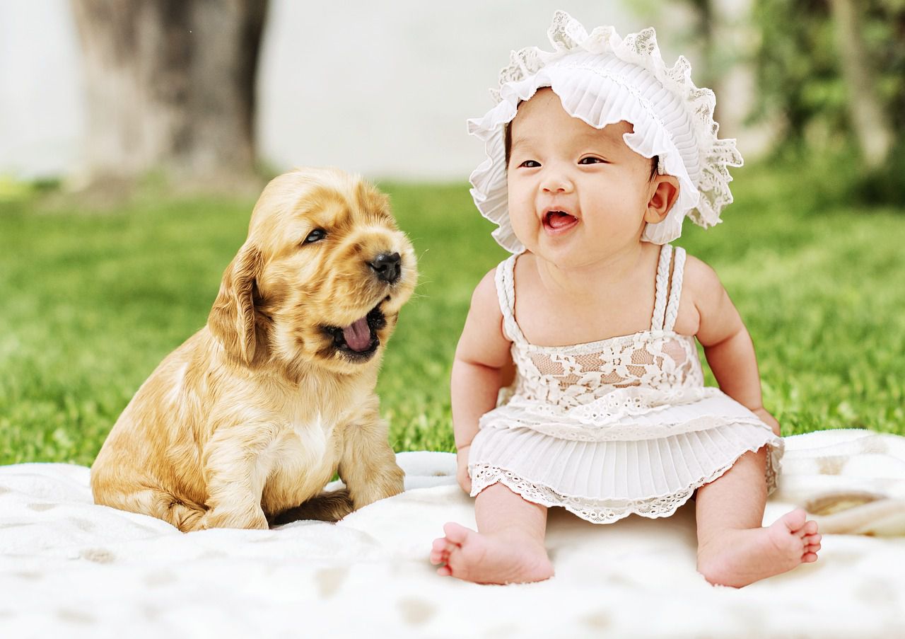 a child with a dog