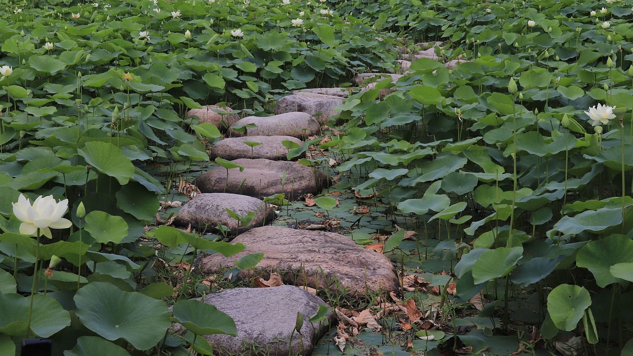 stone pathway