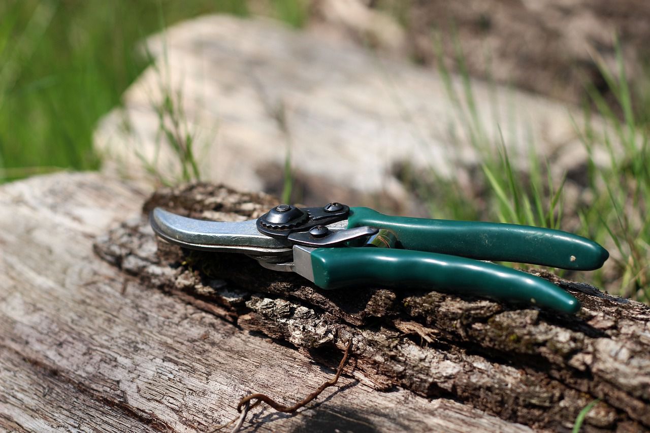 pruning shears