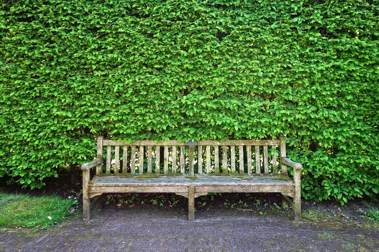 bench