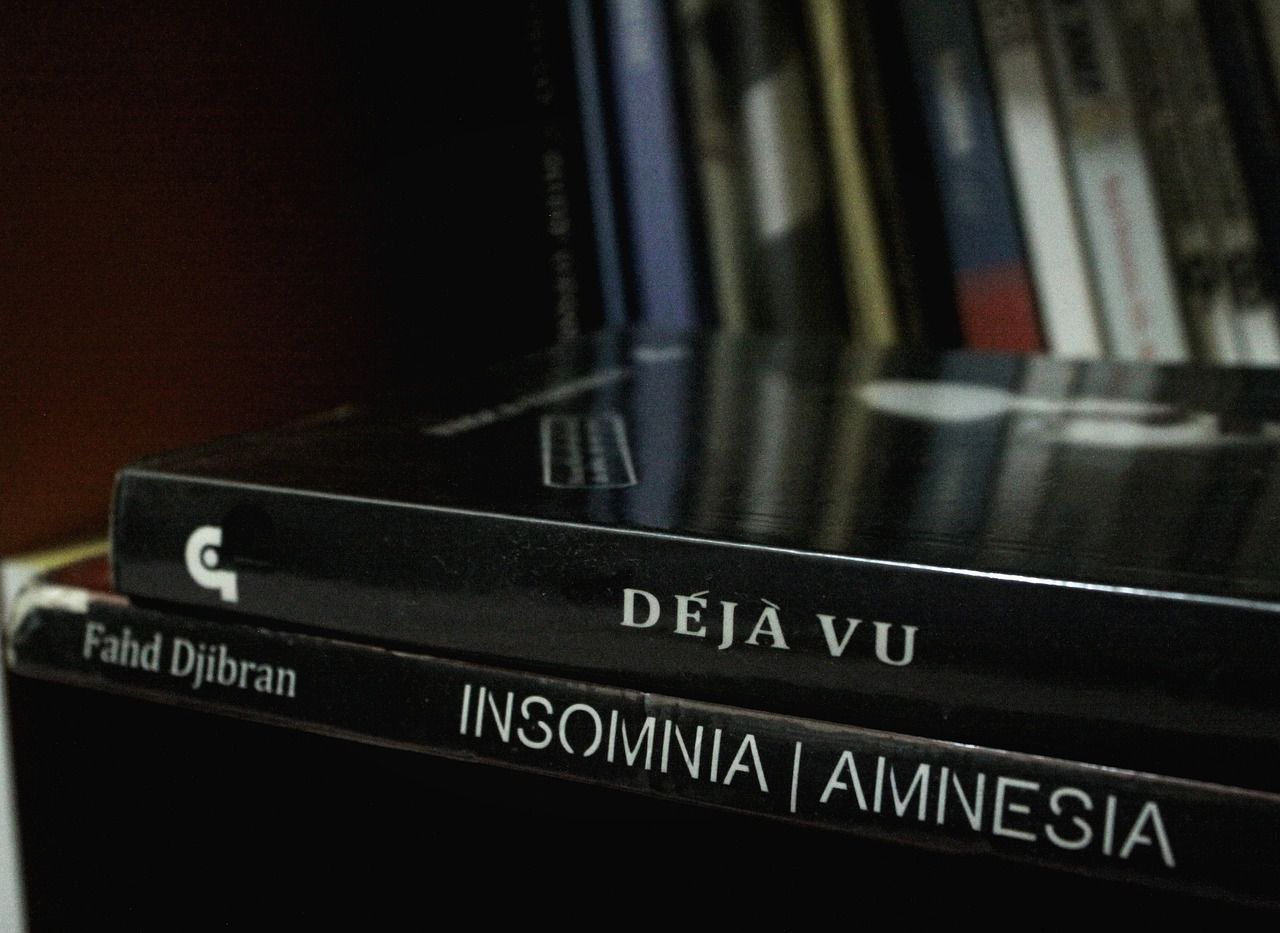 deja vu book