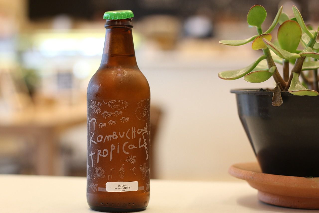 kombucha