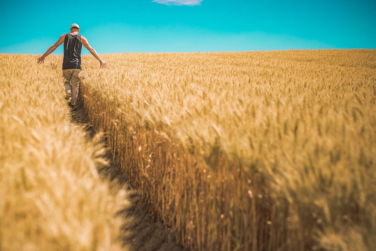 farmer