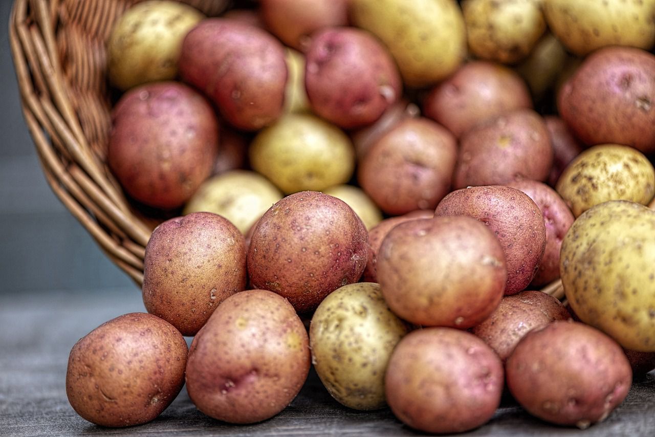 potatoes