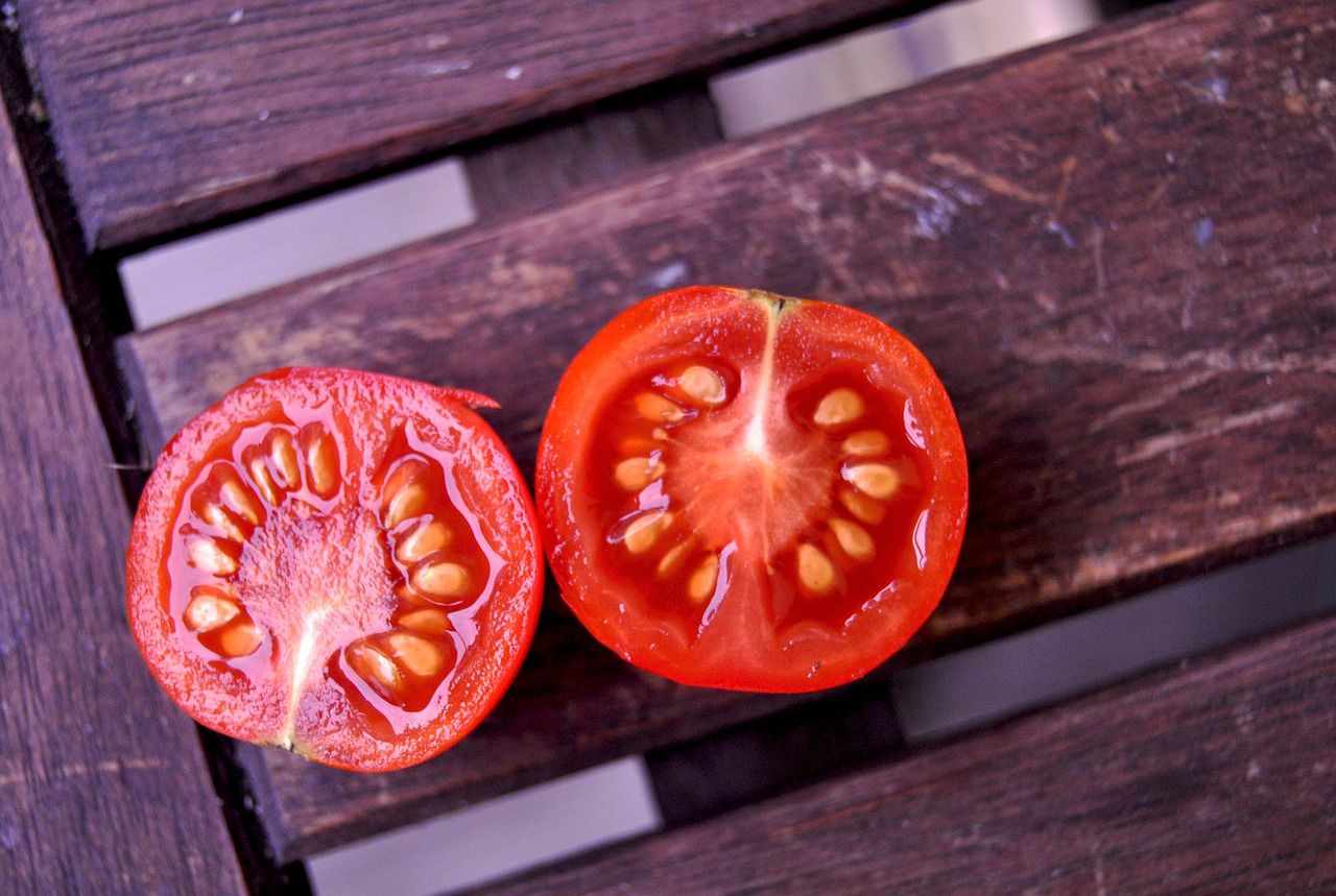 tomato seeds