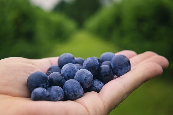 blueberries