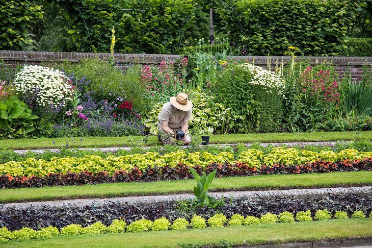 gardener