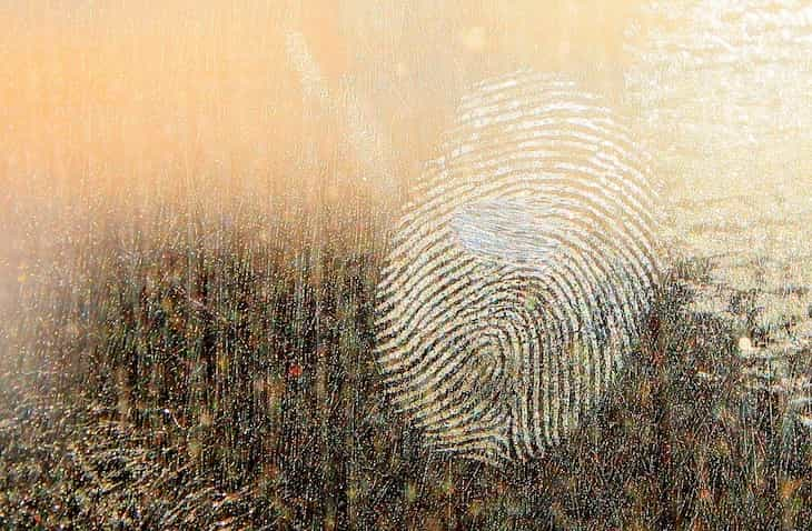 fingerprints