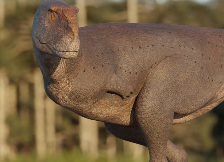 Плотоядные. В Аргентине обнаружили новый вид динозавров
