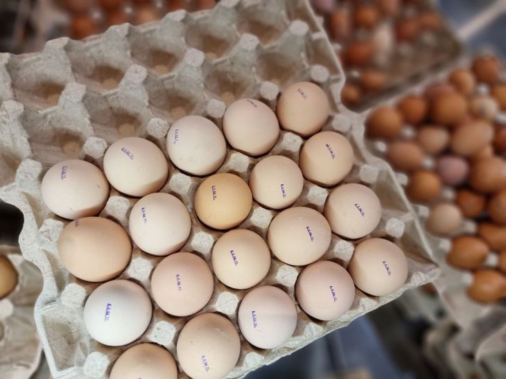 Беларусь стала основным поставщиком яиц в Россию – Россельхознадзор