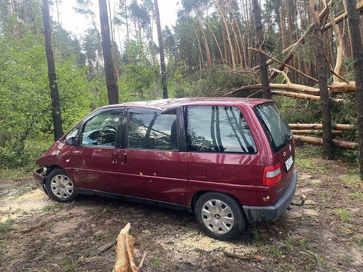 Смертельный ураган в Беларуси: под Зельвой женщина погибла из-за рухнувшего дерева