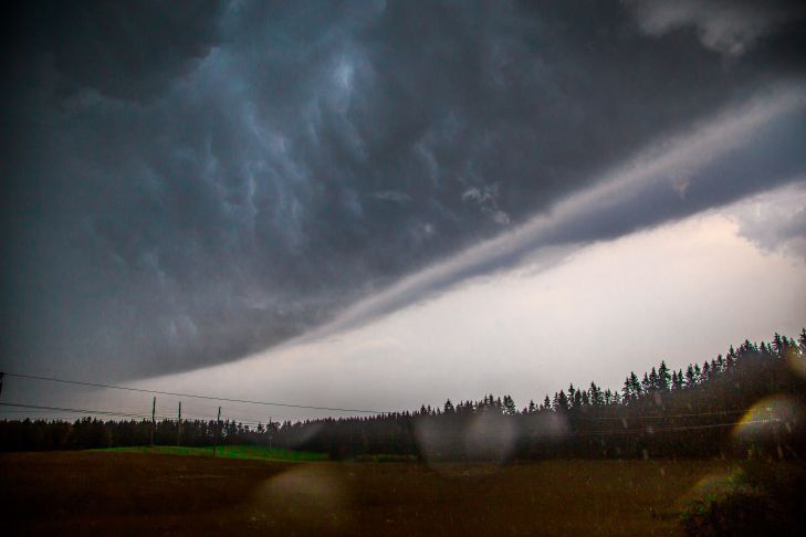 Белорусам предрекли возвращение сильного ветра, грозы и туман. Погода на 1 августа